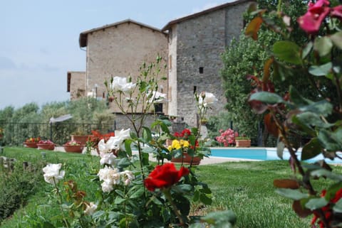 Facade/entrance, Spring, Day, Garden, Swimming pool, Swimming pool
