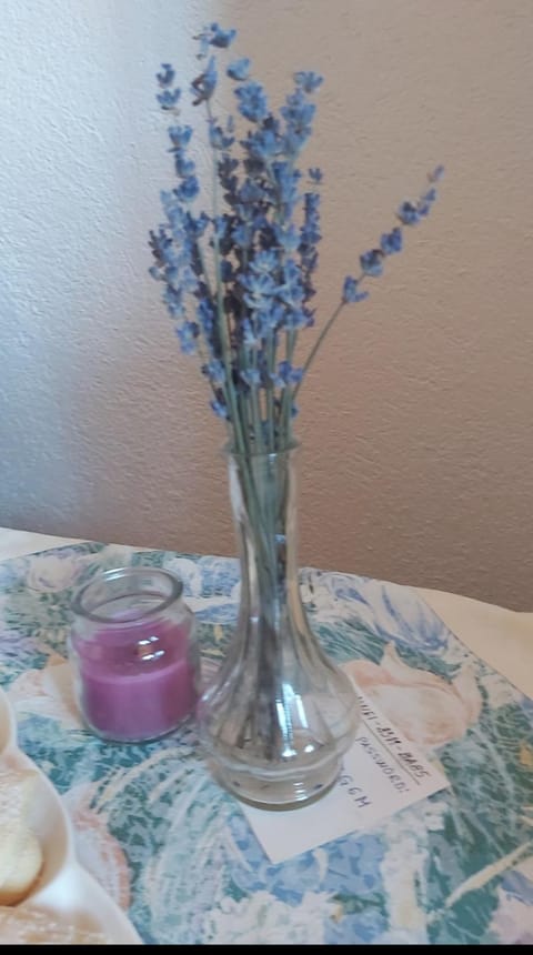 Apartmani Mira Stijepovic Apartment in Montenegro