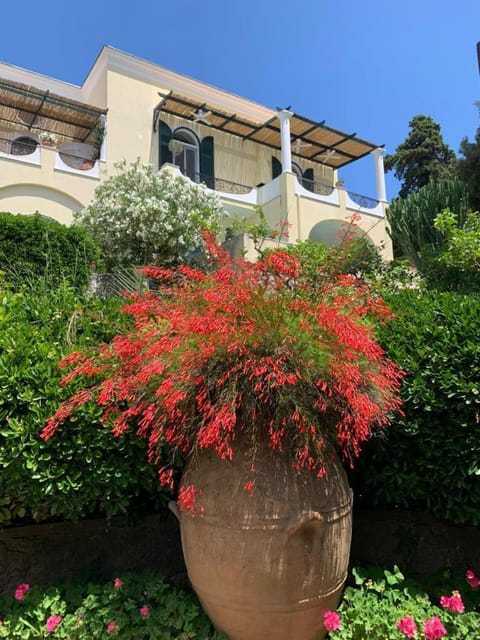 La Casa di Paola Apartment in Capri