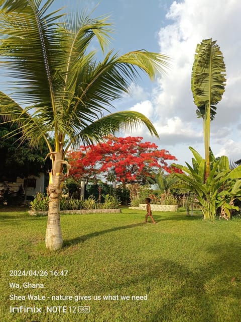 Garden, Garden view