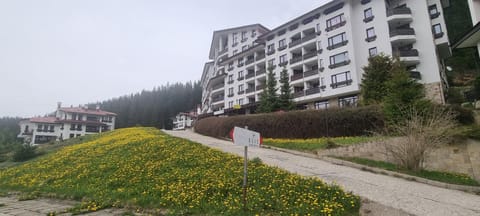 Property building, Natural landscape, Garden