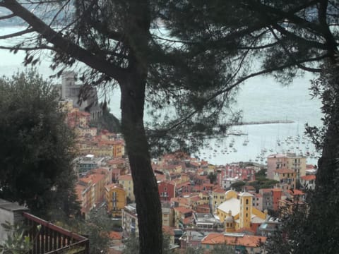 View (from property/room)