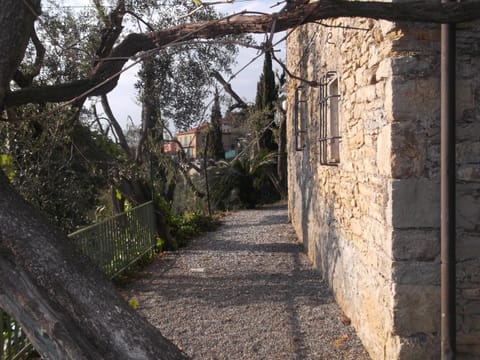Property building, Facade/entrance, Garden, Garden