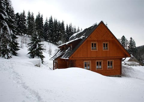 Day, Winter, Other