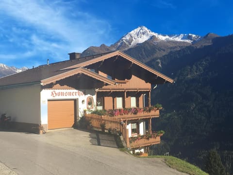 Property building, Summer