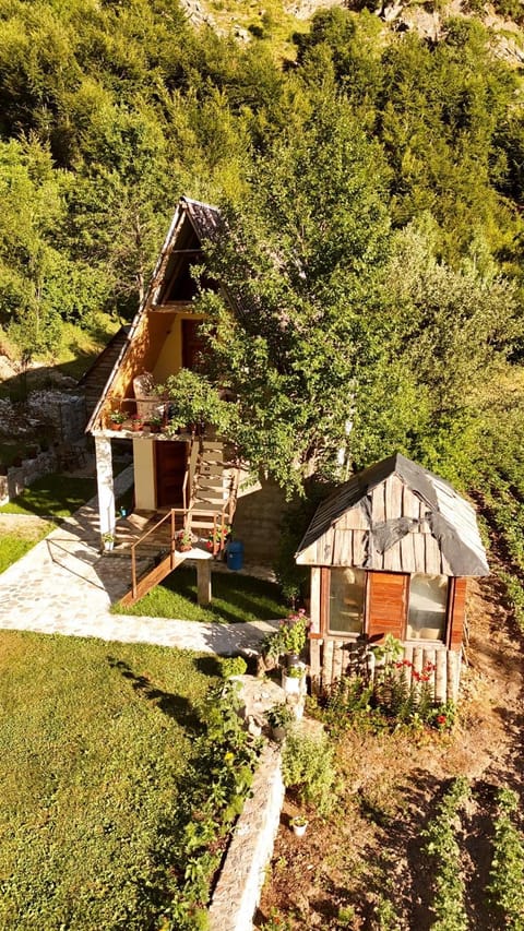 Guest House Ledio Bed and Breakfast in Montenegro