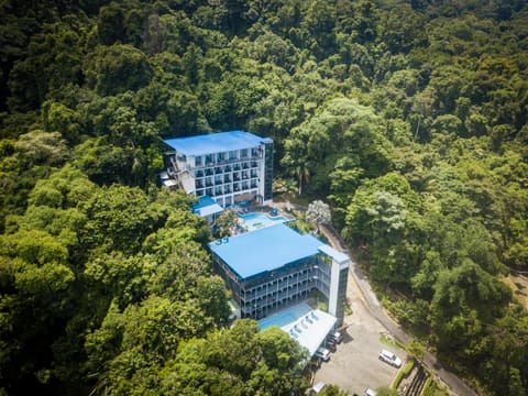 Property building, Bird's eye view