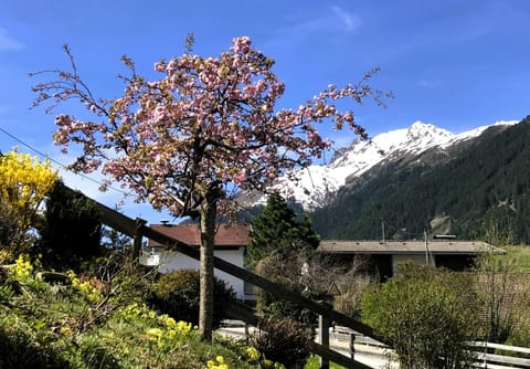 Balcony/Terrace, Mountain view