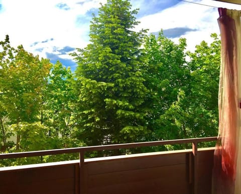 Ruhige Wohnung Nähe Wörthersee Apartment in Klagenfurt