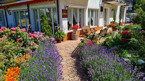 Property building, Garden