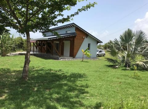 Natural landscape, Garden, Garden view