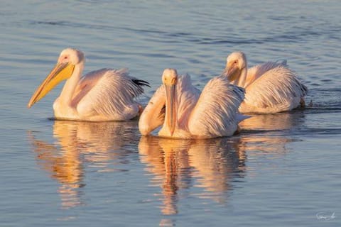 Townsend Backpackers Apartment in Western Cape