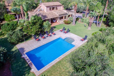 Bird's eye view, Other