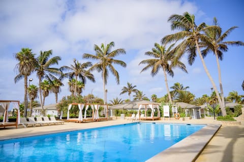 Pool view, Swimming pool, sunbed