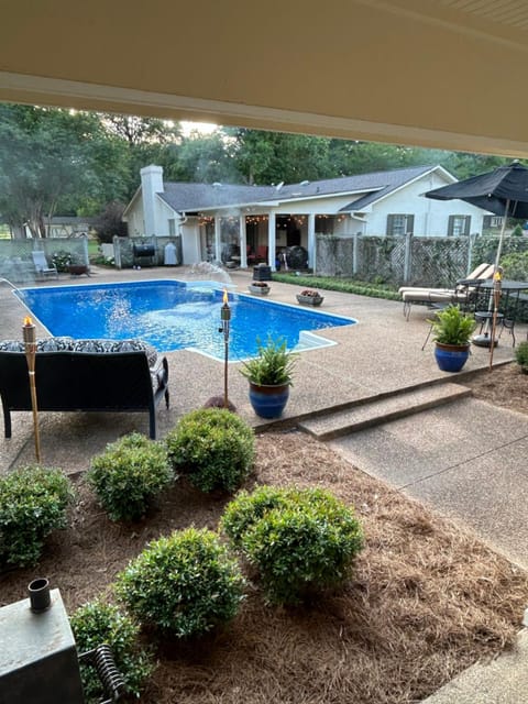 Pool view, Swimming pool, sunbed