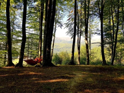 Nearby landmark, Day, Natural landscape