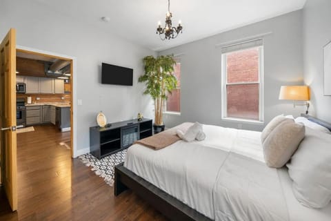 City Escape 2BR Steps to TQL near OTR and Downtown Apartment in Over The Rhine