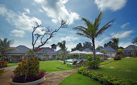 Bird's eye view, Garden, Garden view
