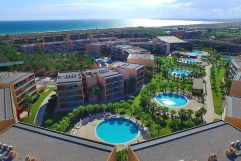 Day, Bird's eye view
