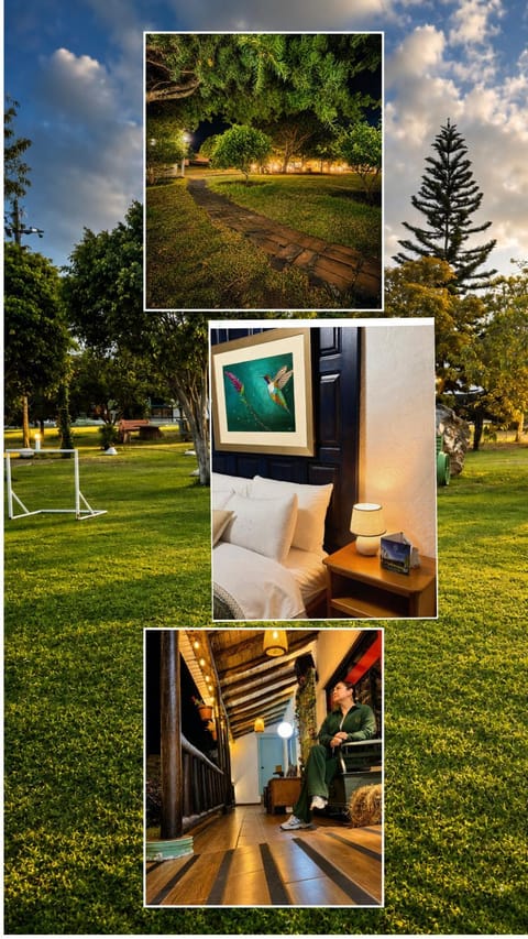 Natural landscape, Garden, Evening entertainment