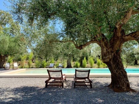 Natural landscape, Garden, Garden view, Swimming pool