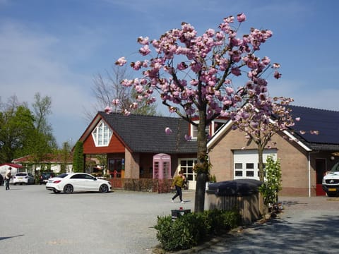 Day, Parking