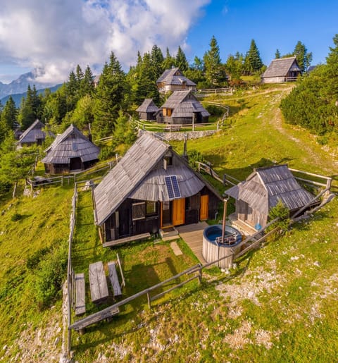 Neighbourhood, Bird's eye view