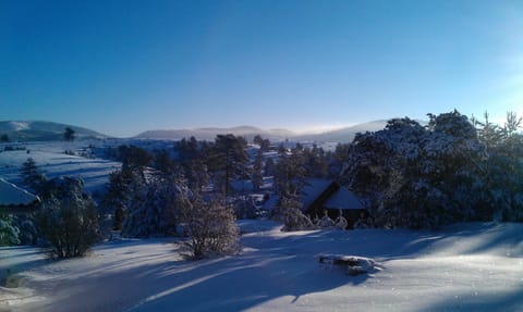 Villa Ducic Villa in Zlatibor District, Serbia