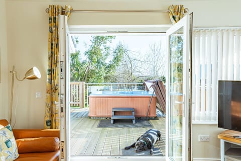 Hot Tub, TV and multimedia, View (from property/room), Balcony/Terrace, Pets