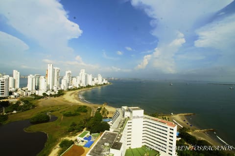 Bird's eye view, Sea view