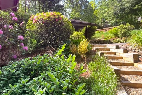 The Treehouse House in Brevard