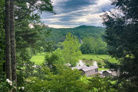 The Treehouse House in Brevard
