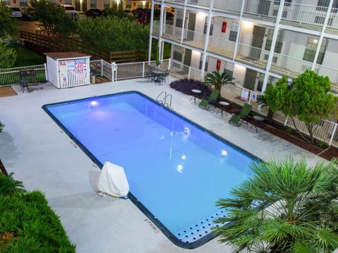 Night, On site, Pool view, Swimming pool, Time of day, ADAM