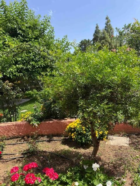 Vacanze a pochi passi dal mare House in Geremeas