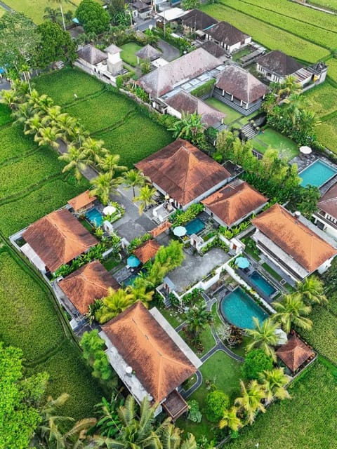 Property building, Spring, Day, Natural landscape, Bird's eye view, Garden, Garden view, Pool view, Swimming pool
