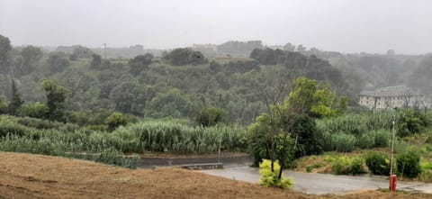 Day, Neighbourhood, Natural landscape