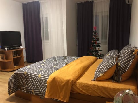 Studio CENTRAL Apartment in Craiova