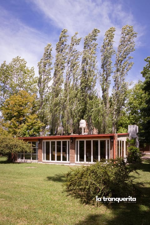 Property building, Day, Garden