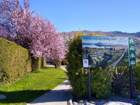 Garden, Street view