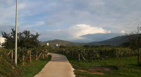 Rooms Ivan-Popić Bed and Breakfast in Federation of Bosnia and Herzegovina