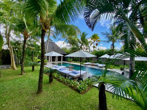 Garden, Garden view, Pool view, Swimming pool, sunbed