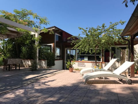 Patio, Garden, Garden, Garden view