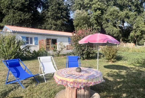Natural landscape, Garden, sunbed