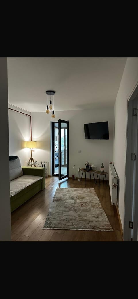 Stadium Central Apartment Residence & terrace Apartment in Craiova