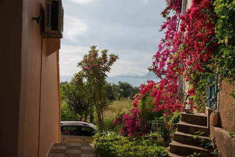 Natural landscape, Garden view, Parking