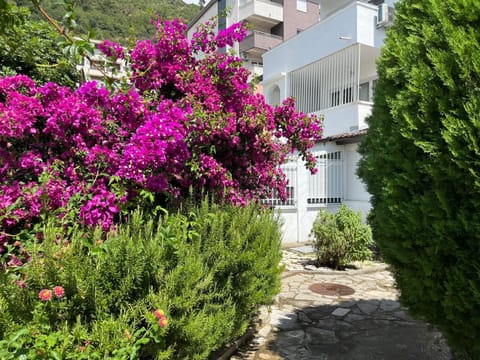 Property building, Garden