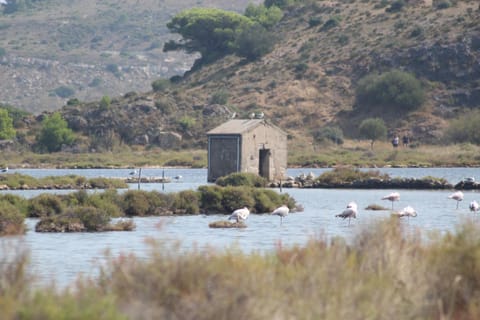 Nearby landmark