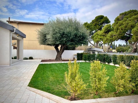 Property building, Garden, Garden view