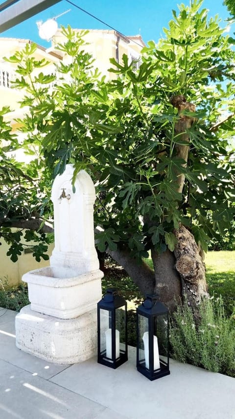 Day, Garden, Garden view