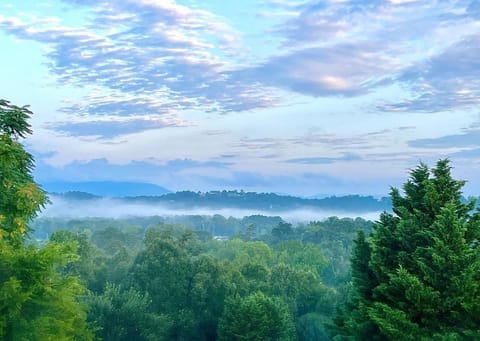 View (from property/room)